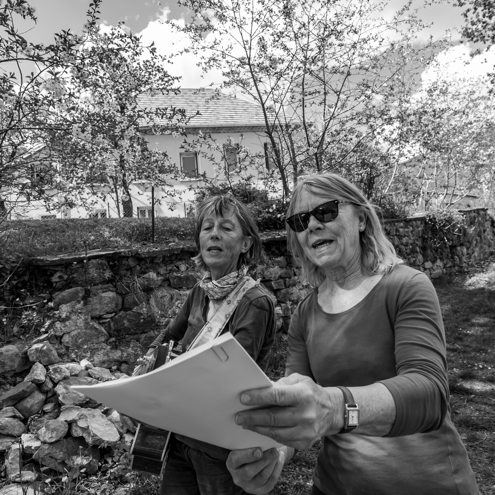 30 avril 2025 : Un oiseau en osier