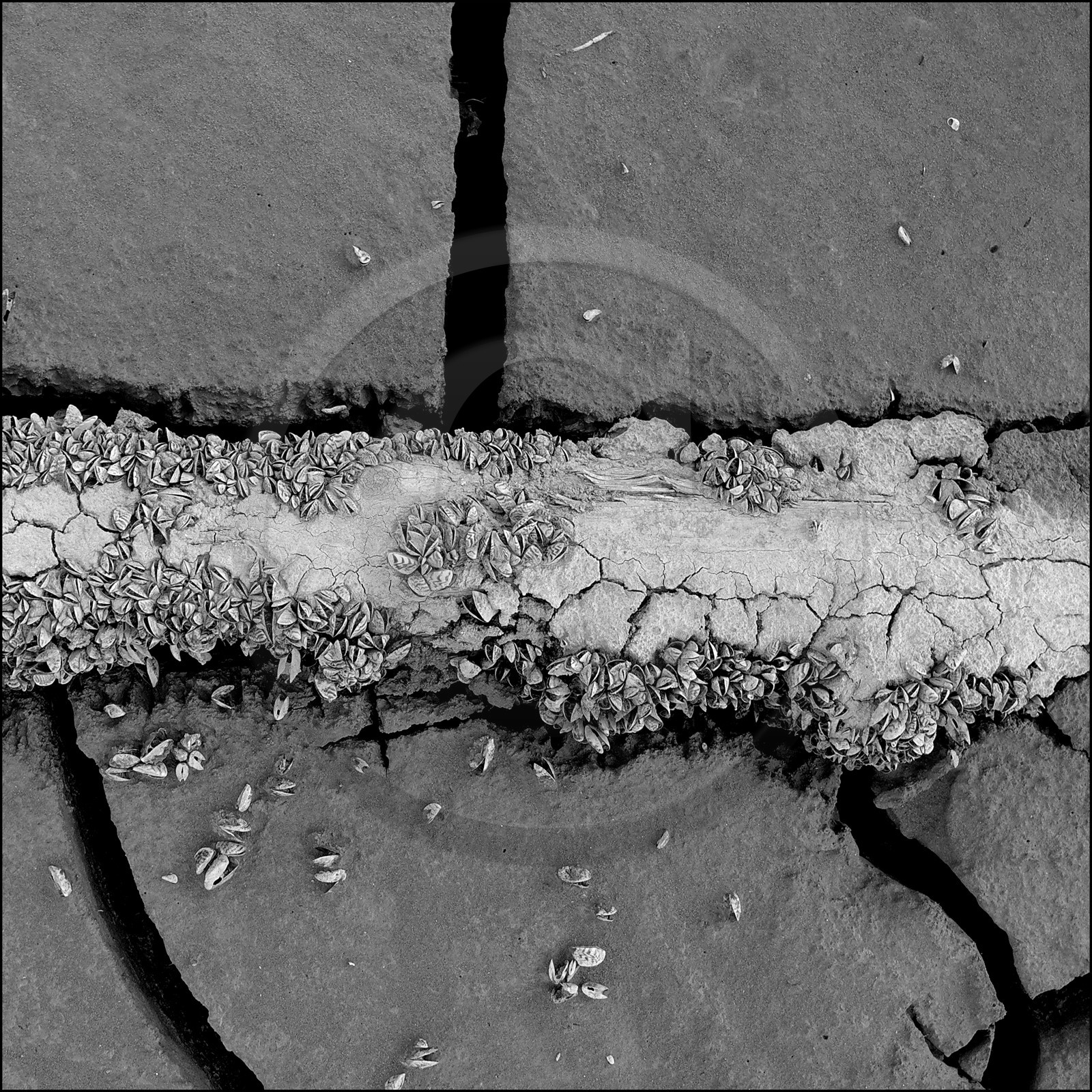 Serre-Ponçon, basses eaux