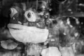 28 mai 2025 : Jeux, Osier, Photos, Jardinage...