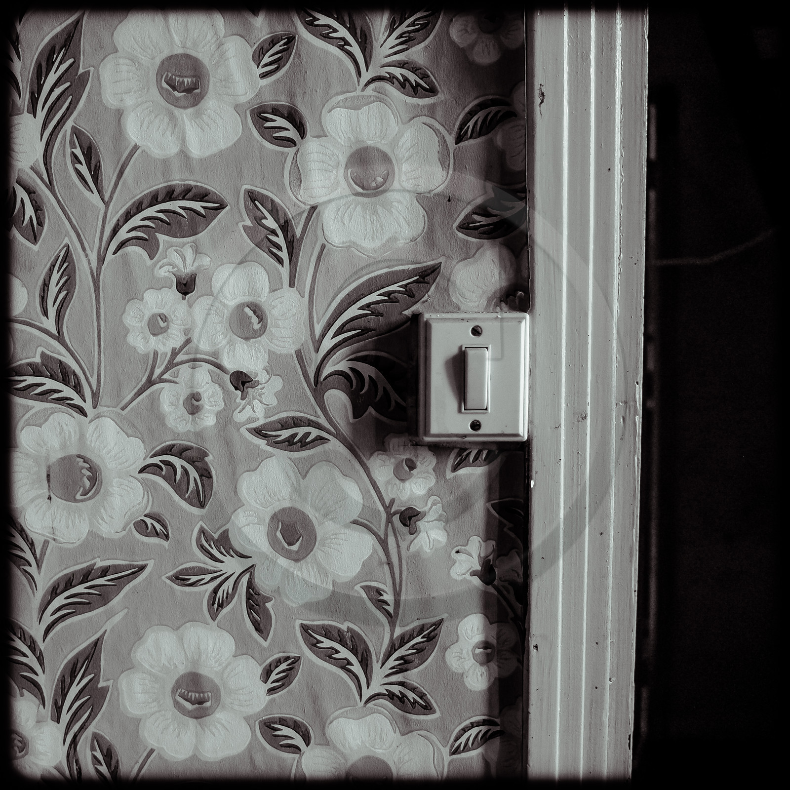 Une maison abandonnée à Saint-Julien-en-Champsaur