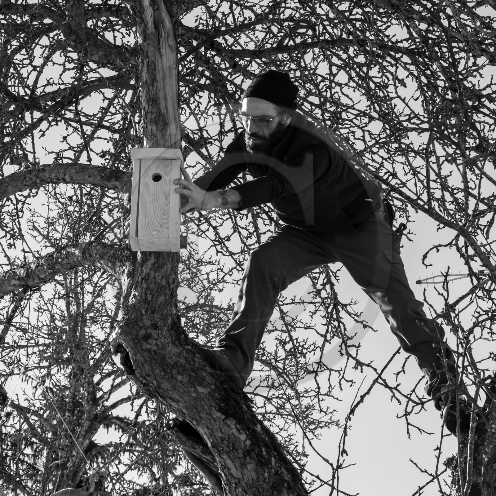 06 février 2019 : la pose des nichoirs
