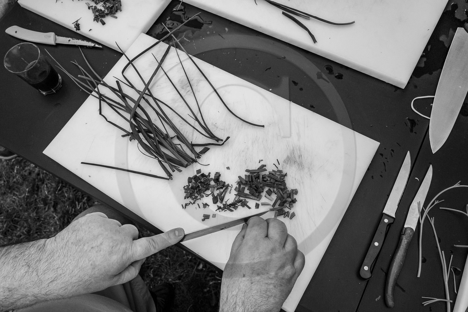 05 juillet 2023 : une cantine et des artistes