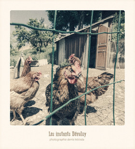 Les Instants Dévoluy