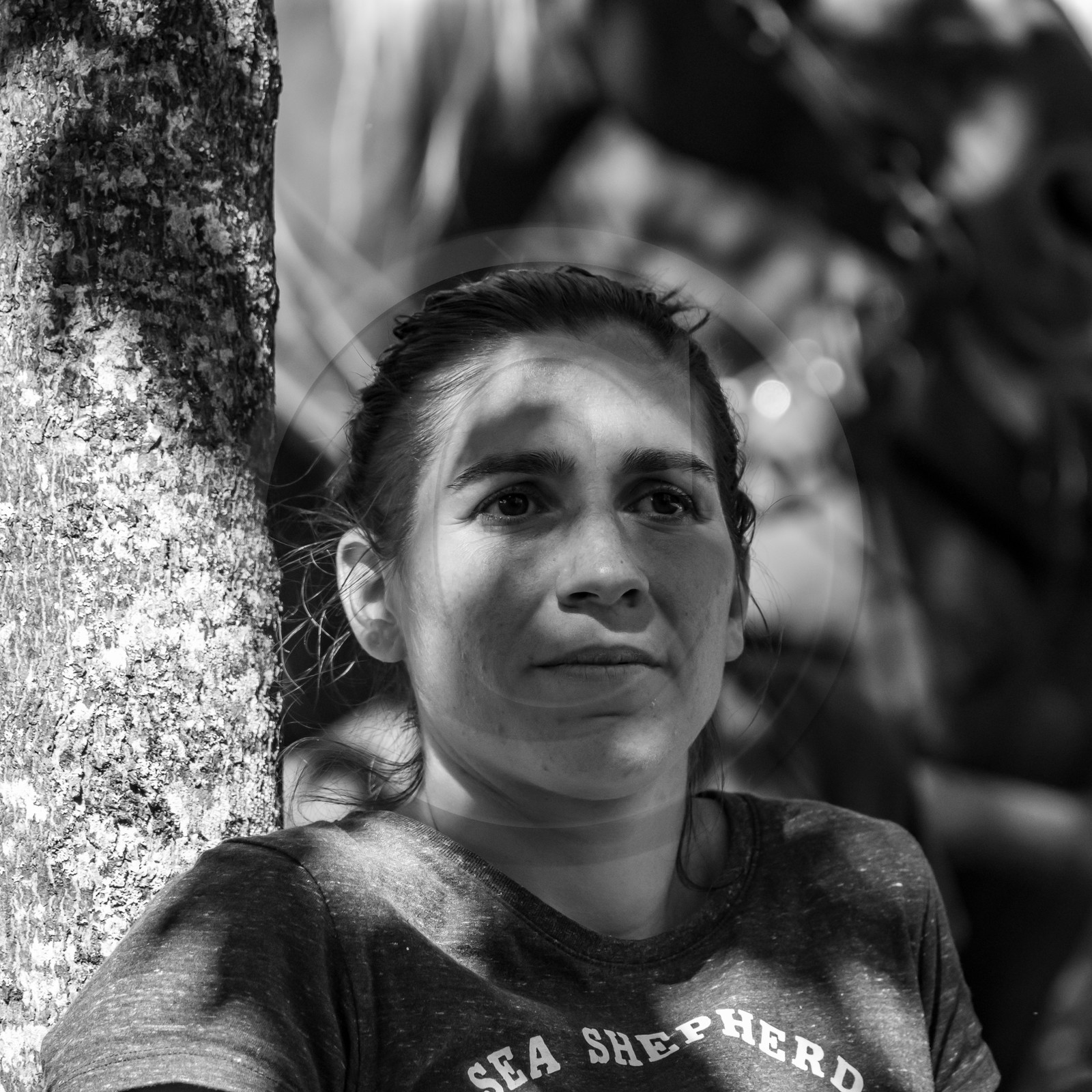 01 septembre 2021 : Promenade en cariole et contes