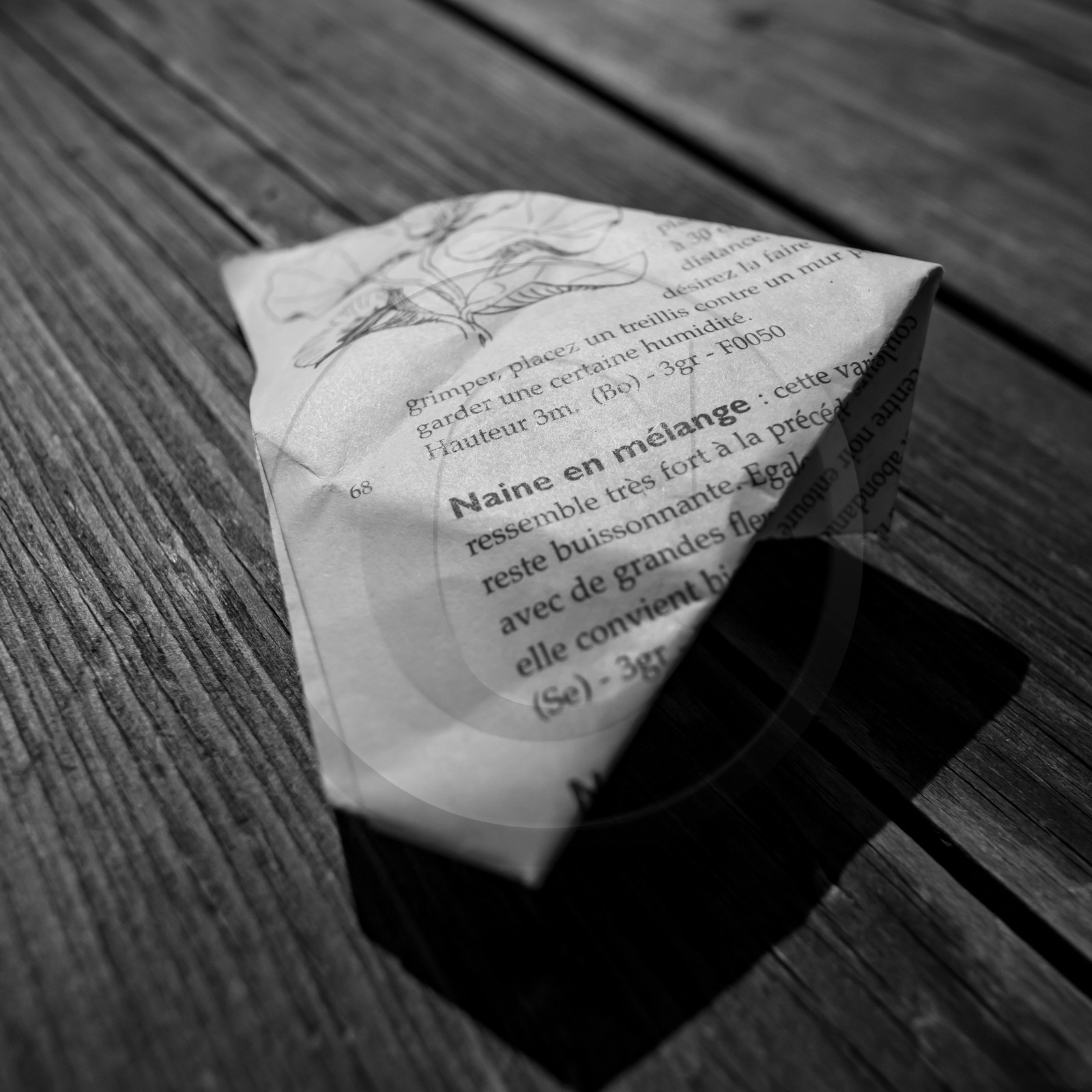 06 juin 2021 : Vide-Jardin et peinture végétale