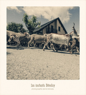 Les Instants Dévoluy
