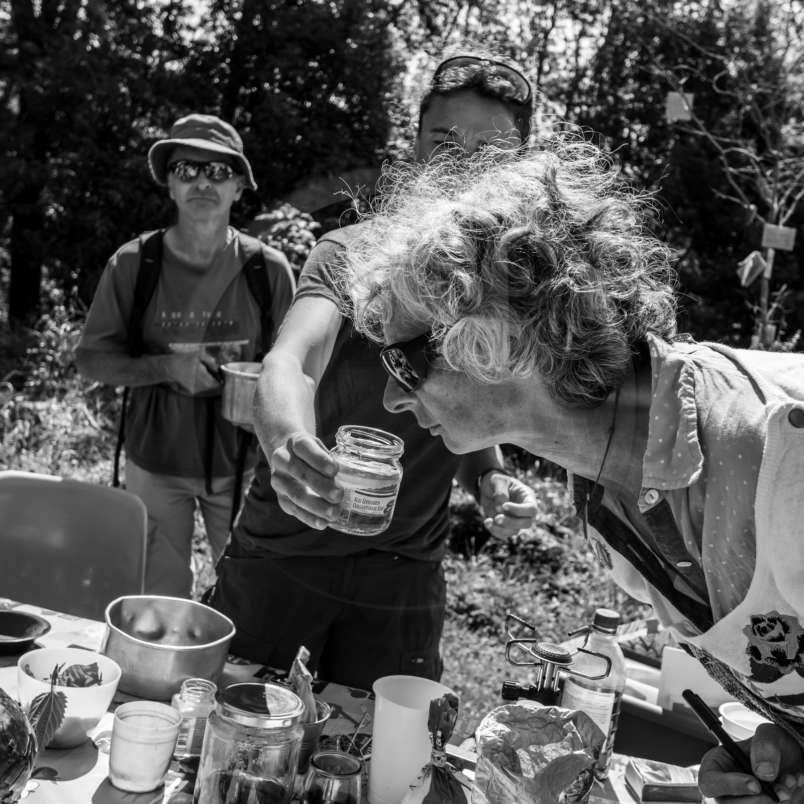 06 juin 2021 : Vide-Jardin et peinture végétale